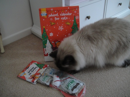 apurrfectcat Alfie Christmas advent calendar cat stocking set Armitage Pet Care