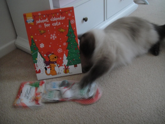 apurrfectcat Alfie Christmas advent calendar cat stocking set Armitage Pet Care
